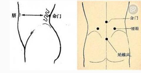 小儿命门穴教学视屏-与命火相通的穴位-命门穴深度解析
