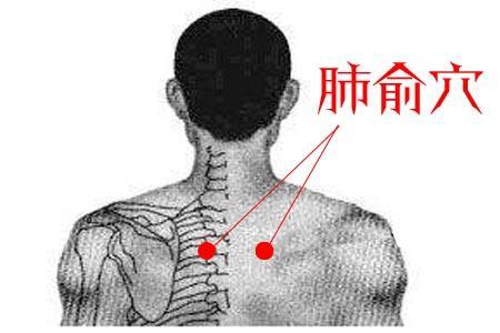 肺俞穴-肺俞的准确位置与手法操作视屏-作用:调肺气,补虚损,止咳嗽